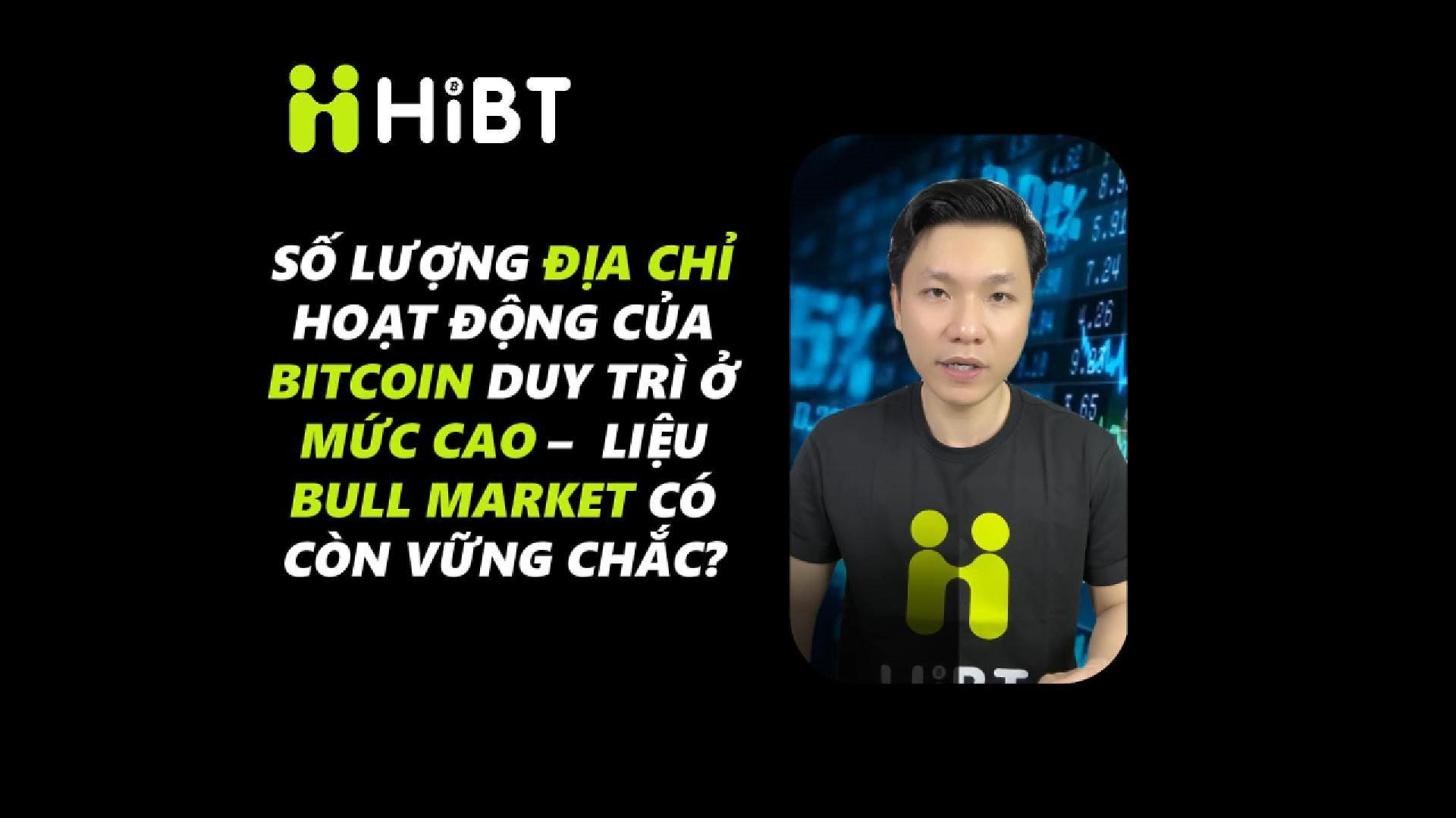 Địa Chỉ BTC Duy Trì Cao – Bull Market Liệu Vững Chắc?-Hibt