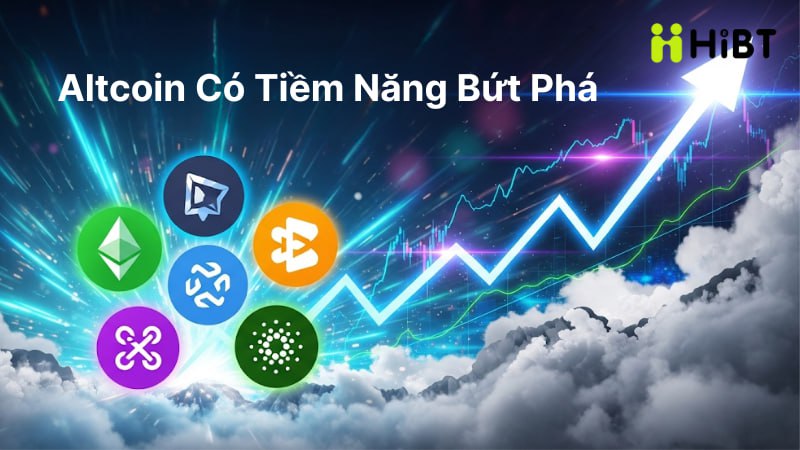 Thị Trường Tiền Mã Hóa Ngày 9/8