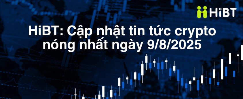 Thị Trường Tiền Mã Hóa Ngày 9/8: BTC Sideway và ETH Cán Mốc 4000 – Altcoin Sẵn Sàng Bay Cao-Hibt