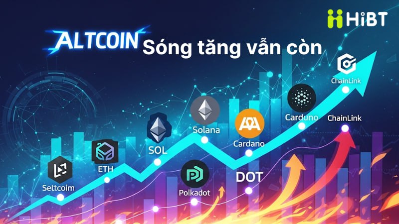 Phân Tích Thị Trường Crypto 10/8