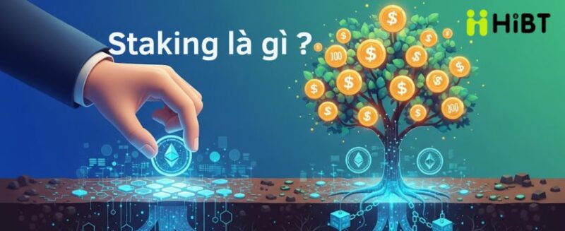 Staking là gì? Tip staking coin tối ưu lợi nhuận năm 2025-Hibt