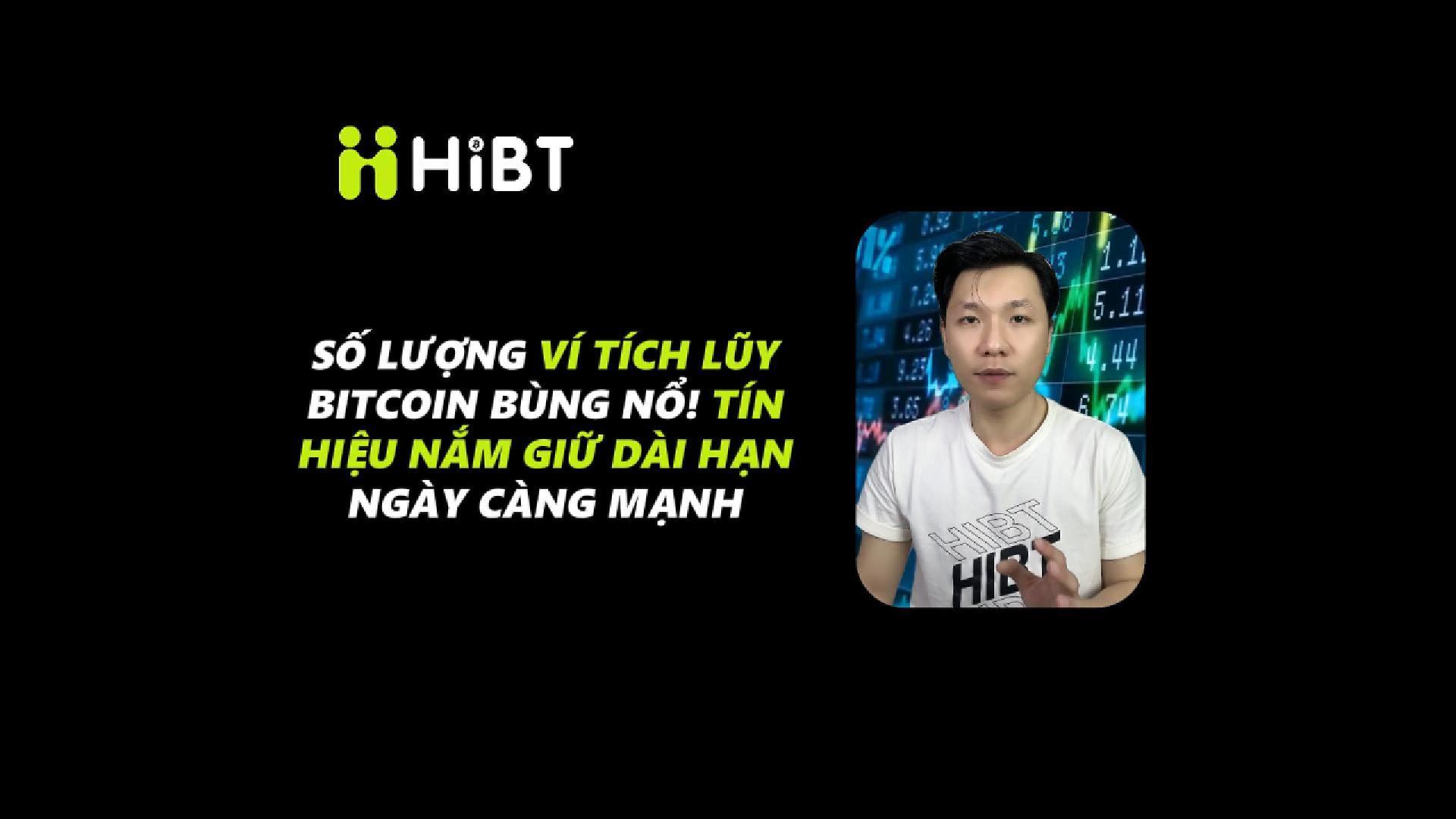 Ví tích lũy BTC kỷ lục – Bàn tay kim cương xuất hiện!-Hibt