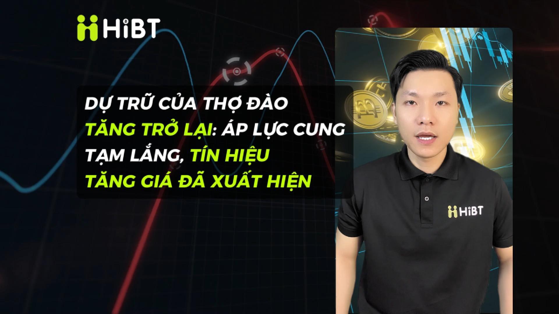 Thợ đào tích trữ lại, tín hiệu bắt đầu đảo chiều-Hibt