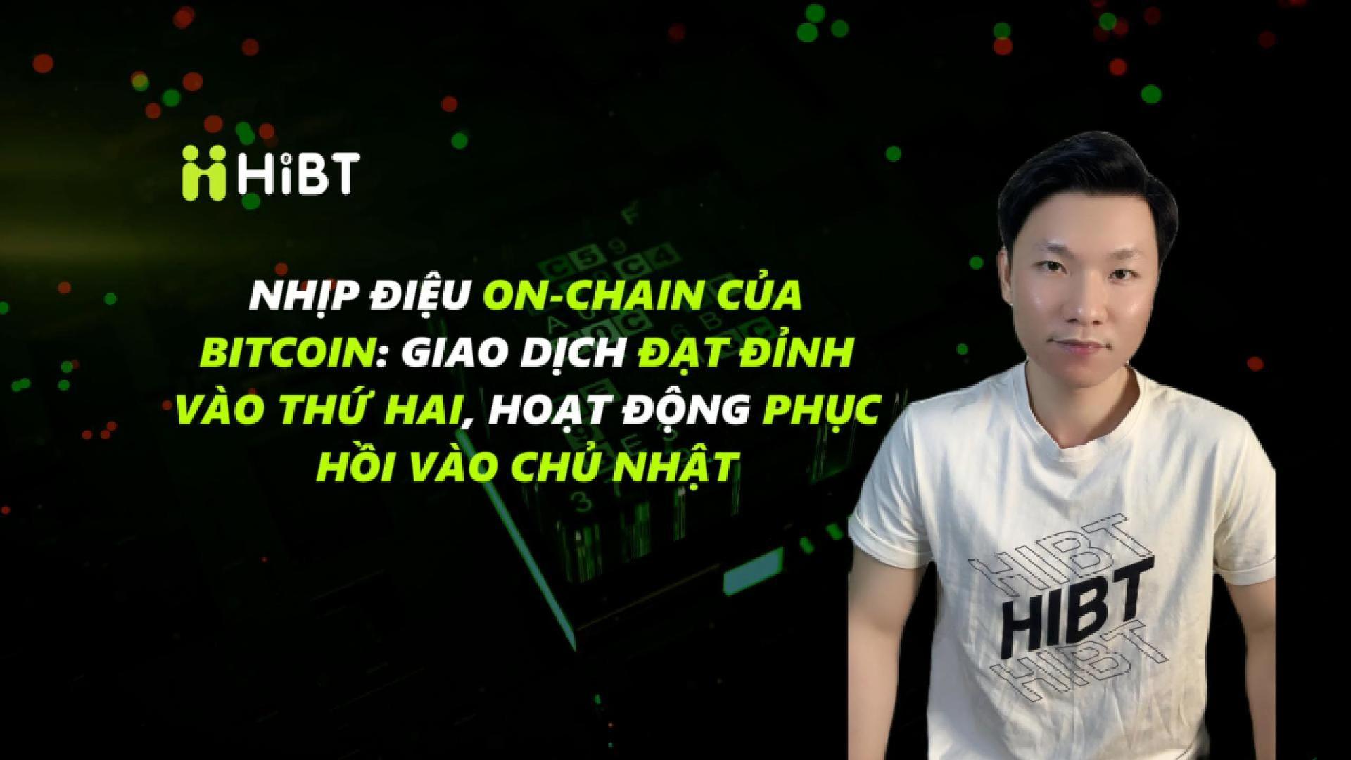 Nhịp điệu On-chain của Bitcoin-Hibt