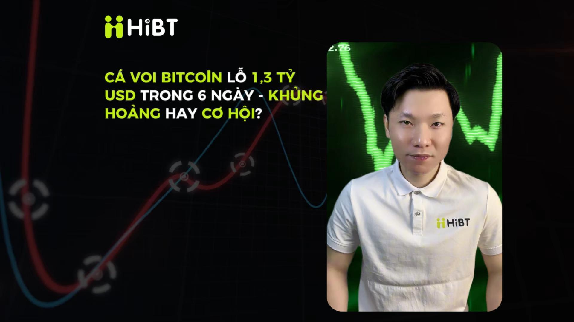 Cá voi Bitcoin lỗ 1,3 tỷ - Khủng hoảng hay Cơ hội?-Hibt