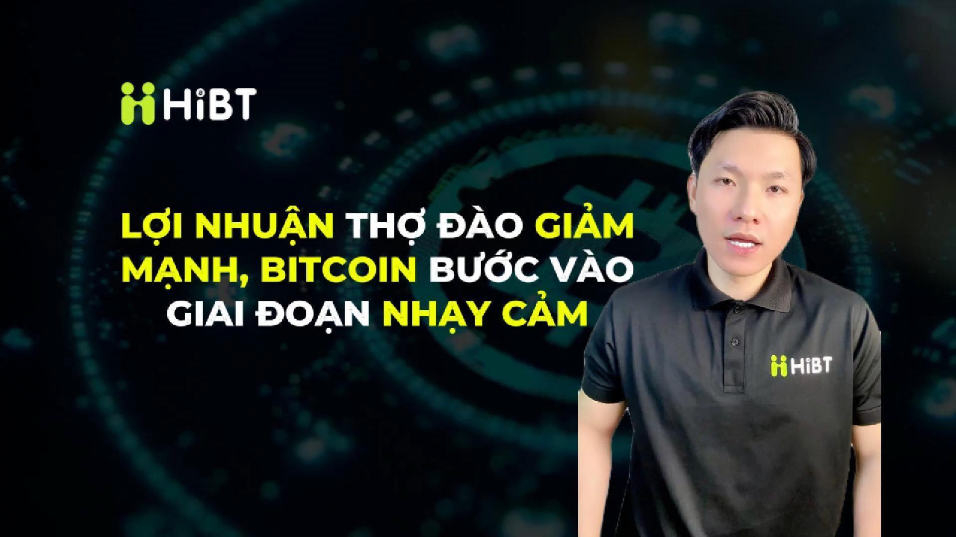 Miner NUPL giảm - Bitcoin bước vào giai đoạn nhạy cảm-Hibt