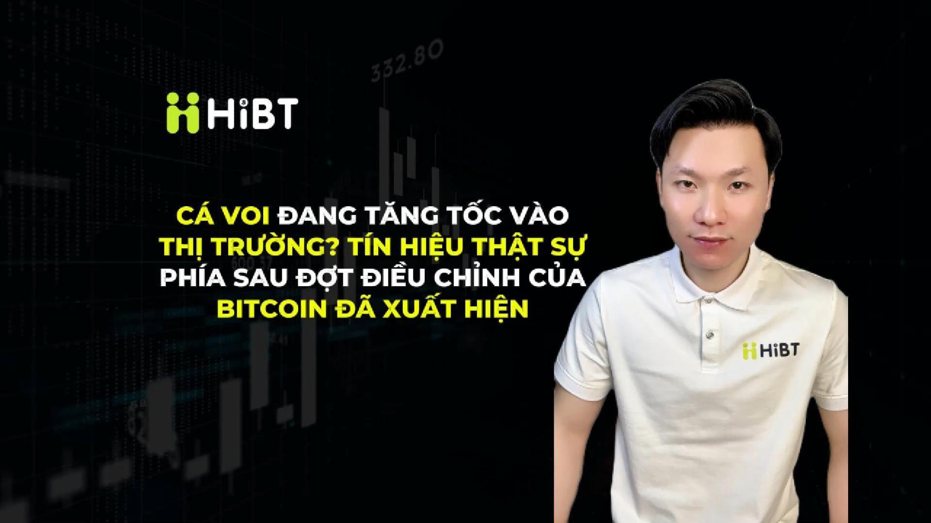 Cá Voi Đang Di Chuyển – Tín Hiệu Đảo Chiều Đang Tới?-Hibt