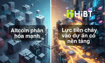 Thị trường crypto ngày 12/1/2026: Bitcoin & Ethereum ổn định, altcoin phân hóa rõ rệt