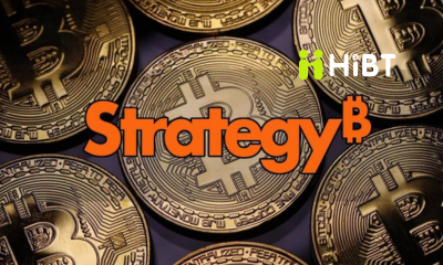 Cổ Phiếu STRC: Vì Sao 80% Nhà Đầu Tư Cá Nhân “Bỏ Quên” Bitcoin Để Chọn Lợi Suất 11,5%?-Hibt